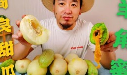 陕西网红吃瓜,揭秘网络热点的背后真相