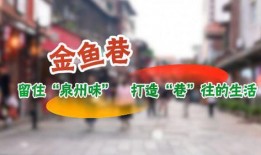 泉州滴滴新闻爆料,乘客与司机冲突引发社会关注