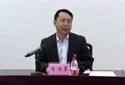 高埗新闻爆料,揭秘当地热点事件背后的真相