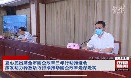 爆料王伟的视频,爆料视频背后的惊人真相